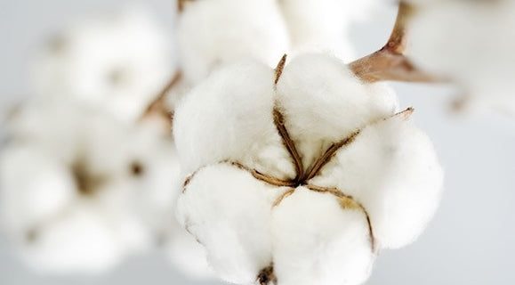 COTON ESSENCE